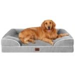 Best Couches for Dogs: Top Orthopedic and Waterproof Dog Beds