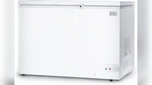 Best Deep Freezer for Commercial Use: Top Chest Freezers Reviewed