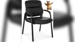 Best Dining Chair With Arms for Elderly: Comfort Meets Style Choices