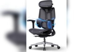Best Ergonomic Office Chair for Back Support with Adjustable Lumbar Features
