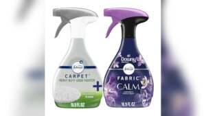 Best Fabric Refresher Spray for Couch: Top Odor Eliminators Reviewed
