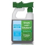 Best Fertilizer Blend for Grass: Top Lawn Solutions for Vibrant Greenery