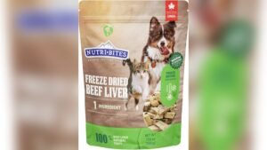 Best Freeze Dried Liver for Dogs: Top High-Protein Treats Reviewed