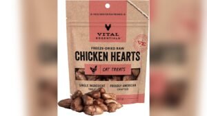 Best Freeze Dried Toppers for Cats: Premium Protein Treats Reviewed
