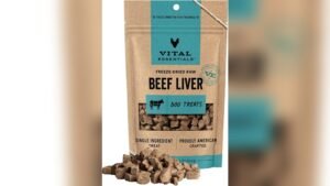 Best Freeze Dried Treats for Dogs: Top Quality, High Protein Choices