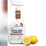 Best Freeze Spray for Dog Poop: Top Solutions for Easy Cleanup
