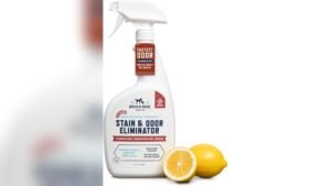 Best Freeze Spray for Dog Poop: Top Solutions for Easy Cleanup