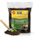 Best Grass Blends for Tennessee’s Varied Soil Conditions: Top Lawn Picks