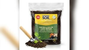 Best Grass Blends for Tennessee’s Varied Soil Conditions: Top Lawn Picks