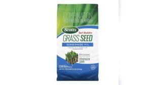 Best Grass Seed Blend for Shade: Top Picks for Lush, Healthy Lawns