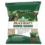 Best Grass Seed Blend for Shady Lawns Low Sunlight: Top Picks for Dense Growth