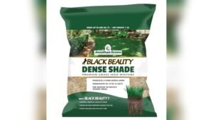 Best Grass Seed Blend for Shady Lawns Low Sunlight: Top Picks for Dense Growth