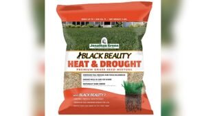 Best Grass Seed Blends for Cool-Season Climates: Top Picks for Lush Lawns