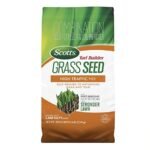 Best Grass Seed Blends for High-Traffic Residential Yards That Last