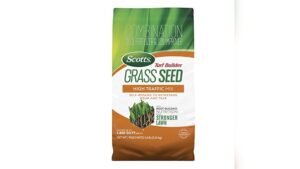 Best Grass Seed Blends for High-Traffic Residential Yards That Last