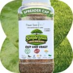Best Grass Seed Blends for Low Maintenance and Minimal Mowing Success