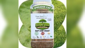 Best Grass Seed Blends for Low Maintenance and Minimal Mowing Success