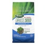Best Grass Seed Blends for Lush Backyard Lawn: Top Picks for Dense Turf