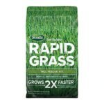 Best Grass Seed Blends for Overseeding Existing Turf: Top Picks Reviewed