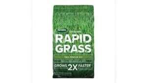 Best Grass Seed Blends for Overseeding Existing Turf: Top Picks Reviewed