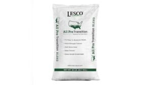 Best Grass Seed Blends for Sandy Soil Beach Properties: Durable & Drought-Tolerant Choices
