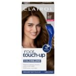 Best Hair Coloring Techniques for Blending Roots with Top Tools