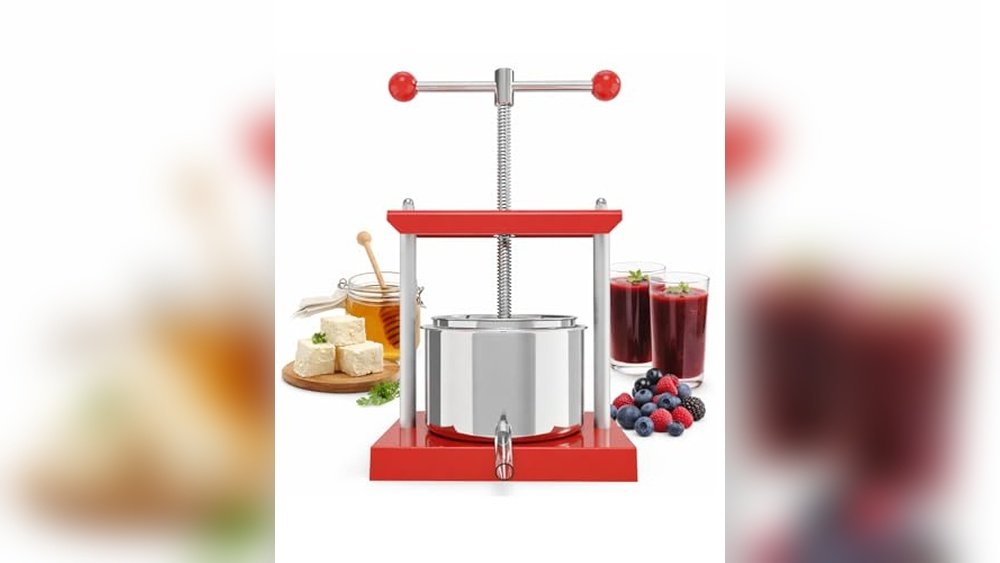 Best Juicer for Grapes With Seeds: Top Manual and Stainless Steel Picks