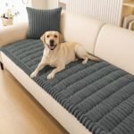 Best Leather Couch for Pets: Durable Covers to Protect Your Sofa
