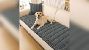 Best Leather Couch for Pets: Durable Covers to Protect Your Sofa