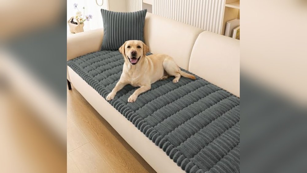 Best Leather Couch for Pets: Durable Covers to Protect Your Sofa