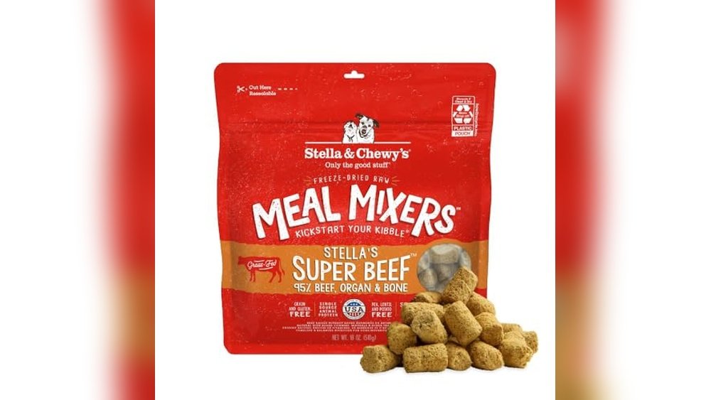 Best Meal Mixers for Dogs 2026: Top Picks for Nutritious Meals