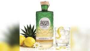 Best Mixers for Tequila Reposado to Elevate Your Cocktail Experience