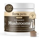 Best Mushroom Blend for Dogs: Top Immune & Health Boosting Supplements