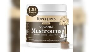 Best Mushroom Blend for Dogs: Top Immune & Health Boosting Supplements