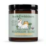 Best Mushroom Blend for Dogs With Cancer: Top Immune Support Supplements