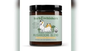 Best Mushroom Blend for Dogs With Cancer: Top Immune Support Supplements