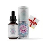 Best Oil Blends for Anxiety: Top Calming Essential Oils for Relief