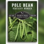 Best Pole Beans for Freezing: Top Heirloom Varieties for Your Garden
