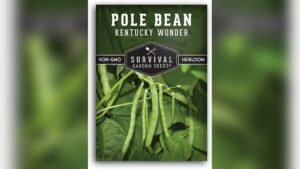 Best Pole Beans for Freezing: Top Heirloom Varieties for Your Garden