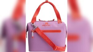 Best Signoraware New Classic Small Lunch Box With Bag 2026 Review