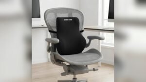 Best Sitting Chair for Lower Back Pain 2026: Top Picks for Relief
