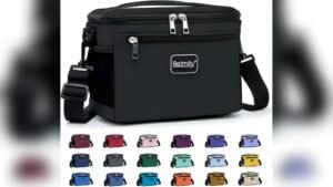 Best Small Lunch Shoulder Bag for Work, Travel, and Everyday Use