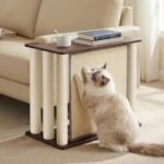 Best Sofa for Cats With Claws: Ultimate Protection and Comfort Solutions