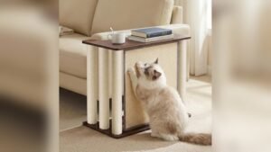Best Sofa for Cats With Claws: Ultimate Protection and Comfort Solutions
