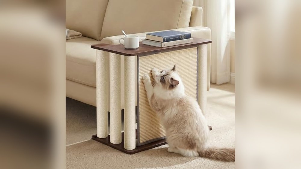 Best Sofa for Cats With Claws: Ultimate Protection and Comfort Solutions