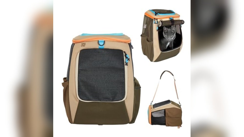 Best Travel Backpacks for Flying With Cats: Top Comfortable Carriers Reviewed