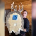 Best Way to Freeze a Duck for Mounting: Top Preservation Tips