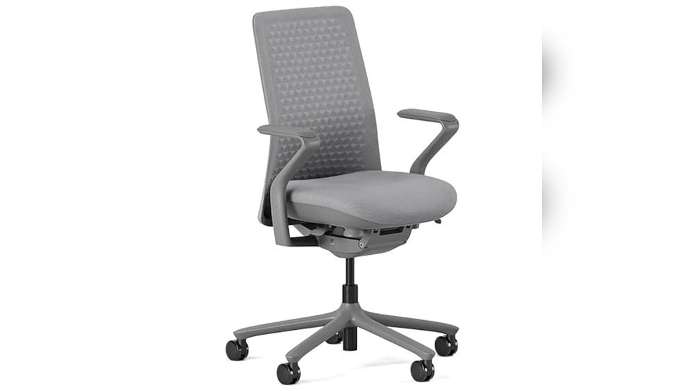 Branch Ergonomic Chair Vs Verve: Which to Buy in 2026?