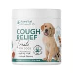 Dog Breathing Heavy? Natural Remedies for Relief and Easy Breathing