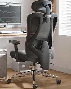 hbada p3 vs p5: Hbada P3 Ergonnomic Office Chair vs Hbada P5 Ergonomic Office Chair